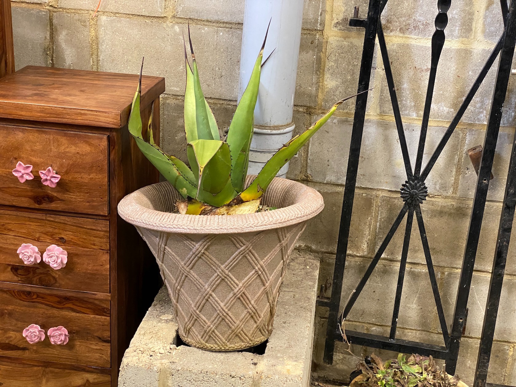 A collection of seven assorted composition and pottery garden planters, largest diameter 50cm, height 38cm